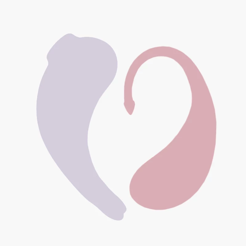 Maga de Maloo : Illustration des sextoys connectés féminins Maga de Maloo : Illustration des sextoys connectés féminins
